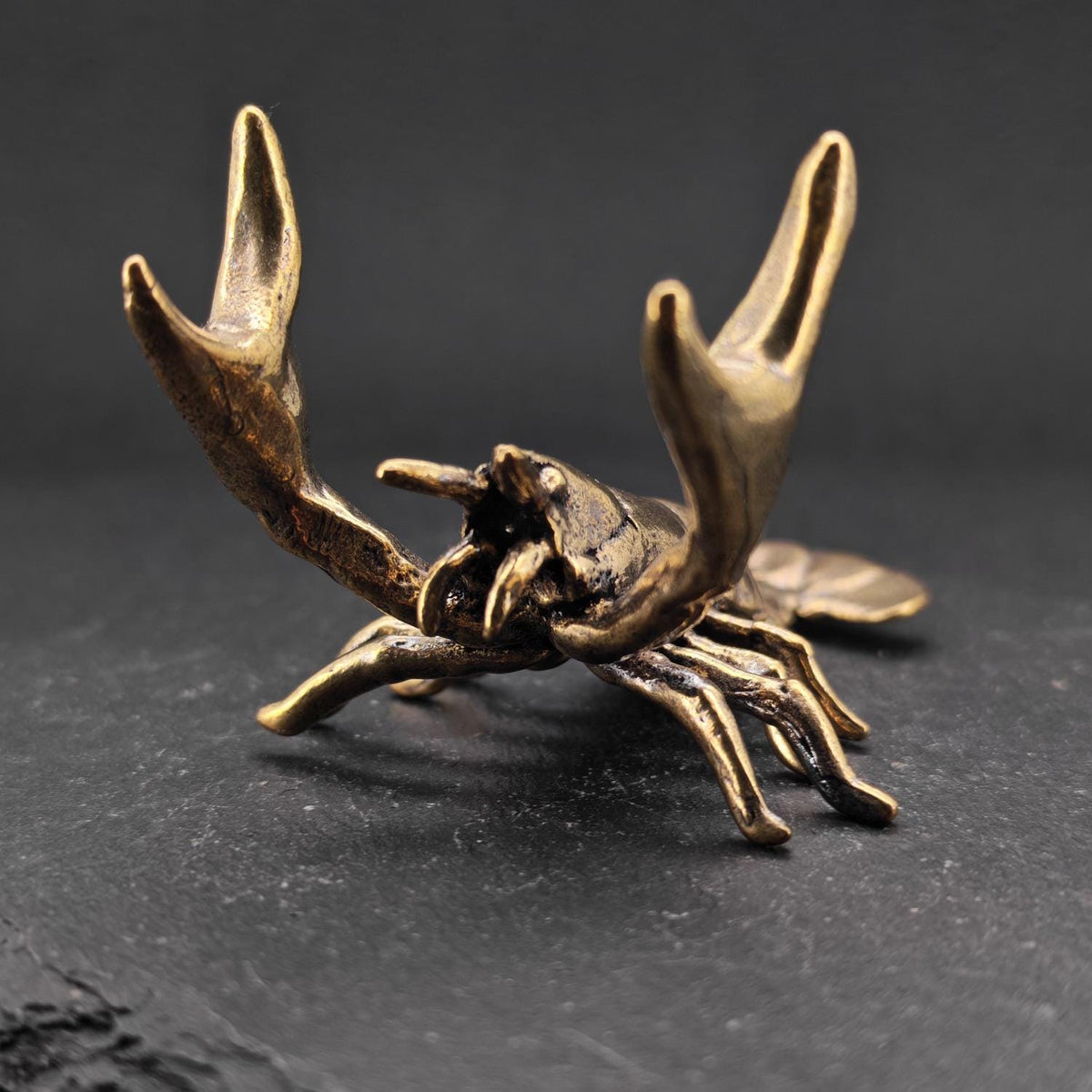 Brass Weightlifting Lobster — Pen Holder and Desk Sculpture with Character