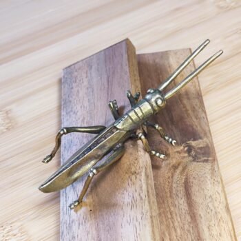 Alternative view of Solid Brass Grasshopper Figurine, Realistic Retro-Style Insect Collectible