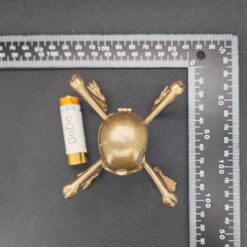 Brass Skeleton Storage Box – Gothic Skull Collectible with Hinged Lid - Image 3